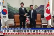 开云体育-包含Ning关键节点关键助攻，加拿大队带队取胜！的词条